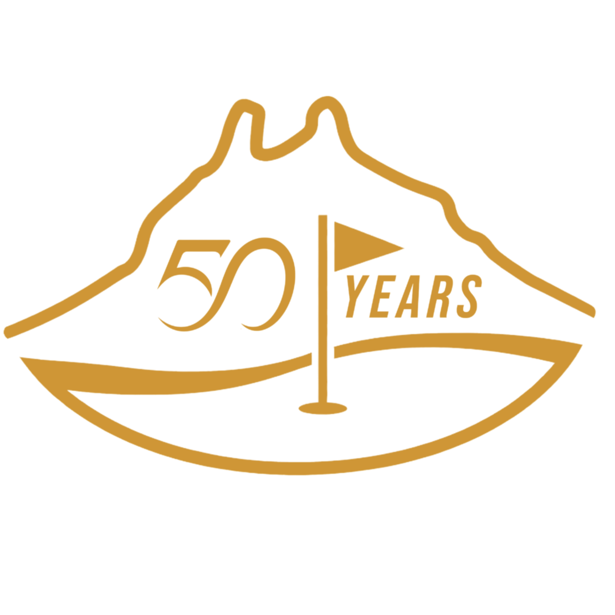SGCC 50 Years